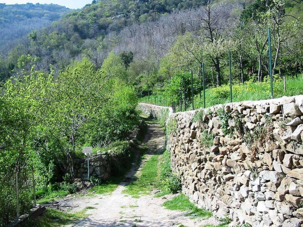 Casa Theodora - Hotel De Charme Et Caractere Muro  المظهر الخارجي الصورة